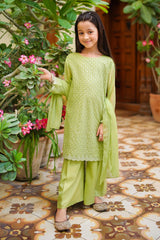 Ochre Clothing Toddlers Eastern Chiffon Embroidered 3 Pc Suit