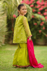 Ochre Clothing Organza Embroidered 3 Pc Suit Collection'2025