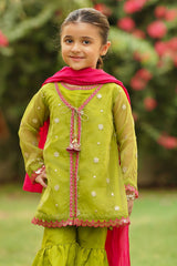 Ochre Clothing Organza Embroidered 3 Pc Suit Collection'2025