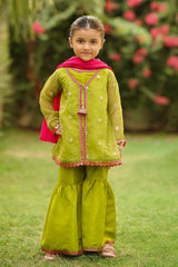 Ochre Clothing Organza Embroidered 3 Pc Suit Collection'2025
