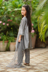 Ochre Clothing Cotton Silk Embellished 3 Pc Suit