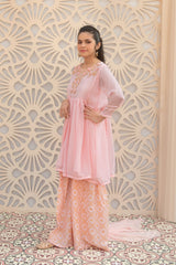 Ochre Clothing Girls Full Suits Chiffon Hand Adda Work 3 Pc Suit