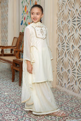 Chiffon Hand Adda Work 3 Pc Suit - Wear Ochre