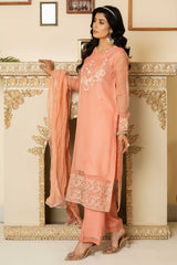 Aayra Stitched Formals Collection'2025-AY439 - Peach Garden 3Pc
