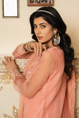 Aayra Stitched Formals Collection'2025-AY439 - Peach Garden 3Pc