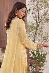 Anaya By Soghat Unstitched 3 Piece Emb Chikankari Collection'2025-SEC-04
