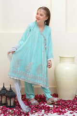 Shanzey Stitched 3 Piece Festive Angrakha Edit Collection'2024-SHK-2201