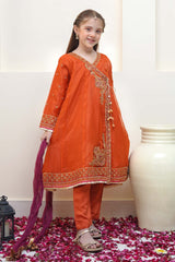 Shanzey Stitched 3 Piece Festive Angrakha Edit Collection'2024-SHK-2203