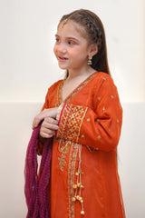 Shanzey Stitched 3 Piece Festive Angrakha Edit Collection'2024-SHK-2203
