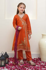 Shanzey Stitched 3 Piece Festive Angrakha Edit Collection'2024-SHK-2203
