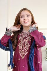 Eid Boutique by Shanzey Stitched 3 Piece Festive Formals Collection-SHK-3503
