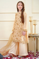 Rangon Ki Bahar By Shanzey Stitched 3 Piece Formals Collection'2025-SHK-3904