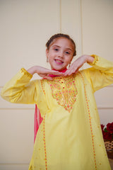 Shanzey Stitched 3 Piece Emb Cambric Edit Summer Collection'2025-SHK-4601