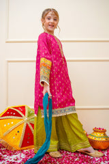 Sangeet By Shanzey Stitched 3 Piece Bari Eid Edit Collection'2025-SHK-4501