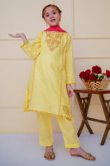 Shanzey Stitched 3 Piece Emb Cambric Edit Summer Collection'2025-SHK-4601
