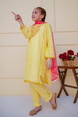 Shanzey Stitched 3 Piece Emb Cambric Edit Summer Collection'2025-SHK-4601
