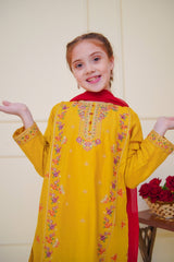Shanzey Stitched 3 Piece Emb Cambric Edit Summer Collection'2025-SHK-4604