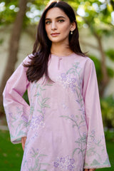 Sahar Stitched 2 Piece Pret Essentials Collection'2025- SSEC-V2-RR-01
