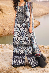 Meraki by Asifa N Nabeel Unstitched 3 Piece Lawn Collection'2024-Starlete