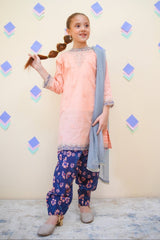 Shanzey Stitched 3 Piece Emb Lawn Farshi Edit Collection'2025-SHK-4437