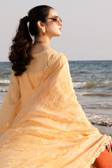 Tehzeeb By Riaz Arts Unstitched 3 Piece Emb Chikankari Lawn Vol-03 Collection'2025-TL-430