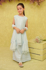 Chiffon Embroidered 3 Pc Suit - Wear Ochre