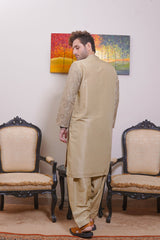 Real Image Mens Kurta Shalwar Collection'2025-D - 489 Fawn
