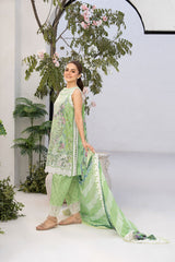 Vital by Sobia Nazir Unstitched 3 Piece Lawn Collection'2025-V-12-A