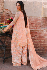 Vasal By Charizma Unstitched 3 Piece Luxury Chiffon Vol-03 Drop-02 Collection'2025-VSL25-19