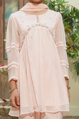 Chiffon Hand Adda Work 3 Pc Suit - Wear Ochre