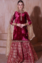 Aayra Stitched Winter Collection'2025-AY443 - Garnet 3Pc