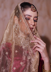 Aayra Stitched Winter Collection'2025-AY443 - Garnet 3Pc