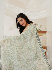 Tng By Md Odhni Collection-Rounaq E Pakistan Odhni